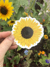 Load image into Gallery viewer, Sunflower Sticker - dishwashesr safe wild flower decal