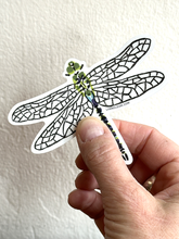 Load image into Gallery viewer, Dragonfly STICKER