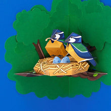 Load image into Gallery viewer, Create Your Own Beautiful Blue Tit Nest