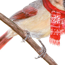 Load image into Gallery viewer, Northern Cardinal with Stocking Cap