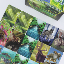 Load image into Gallery viewer, Ecosystem - A Habitat Building Card Game