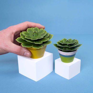 Make Your Own Mini Paper Succulent Plant
