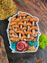 Load image into Gallery viewer, Land Snail and Chestnut Mushrooms Sticker