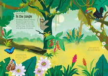Load image into Gallery viewer, Little First Stickers Nature: Usborne