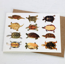Load image into Gallery viewer, Turtles Card