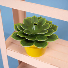 Load image into Gallery viewer, Make Your Own Mini Paper Succulent Plant