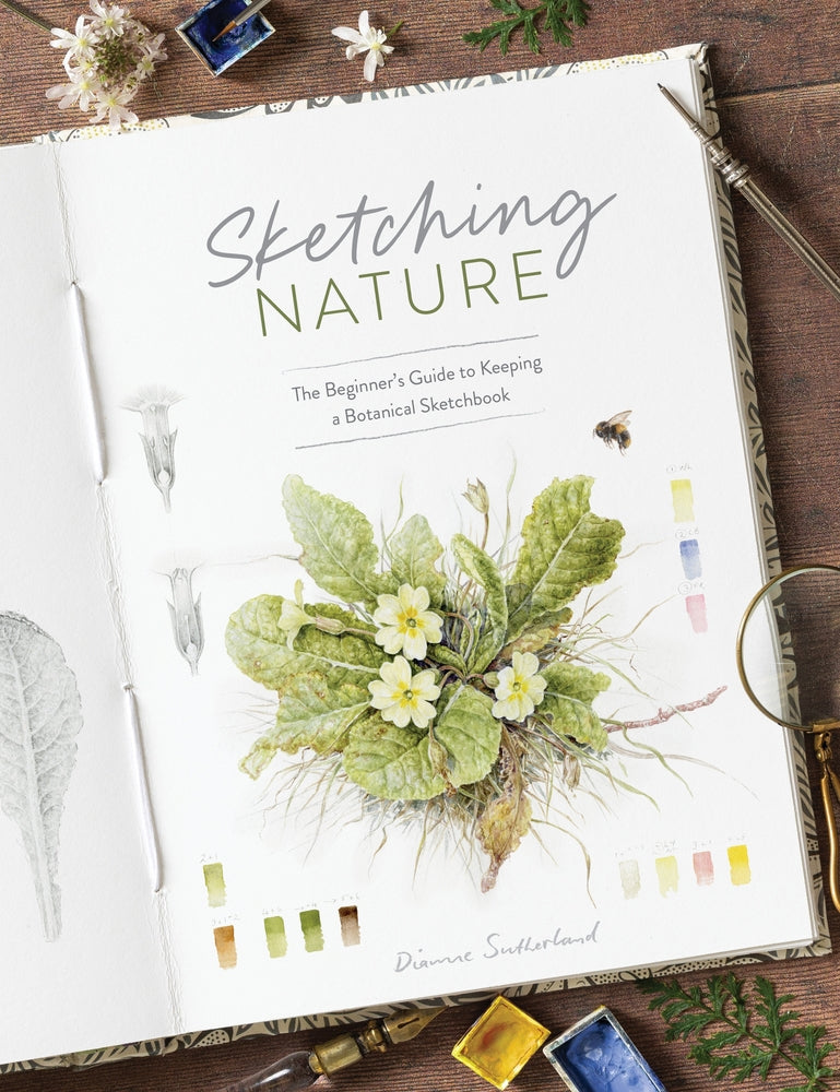 Sketching Nature The Beginner's Guide to Keeping a Botanical Sketchbook