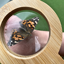 Load image into Gallery viewer, EYE SPY Eco-Bamboo 5x Magnifying Glass