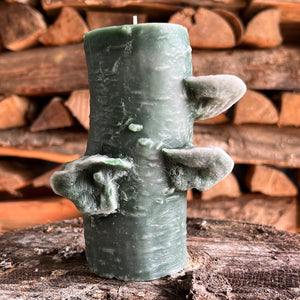 72 Hour Birch Pillar Stick Candle