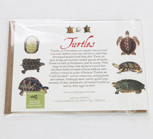 Load image into Gallery viewer, Turtles Card