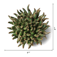Load image into Gallery viewer, Ceramic Flower Wall Art Mondo Green