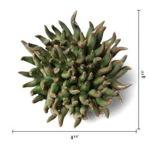 Ceramic Flower Wall Art Mondo Green