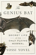 Genius Bat The Secret Life Of The Only Flying Mammal