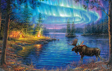 Load image into Gallery viewer, 0375 Northern Night 1000 pc Puzzle