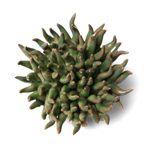 Ceramic Flower Wall Art Mondo Green