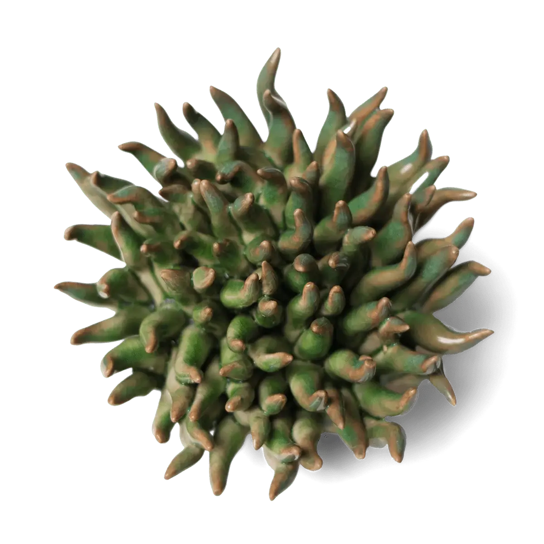 Ceramic Flower Wall Art Mondo Green