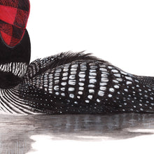 Load image into Gallery viewer, Common Loon with Flap Cap