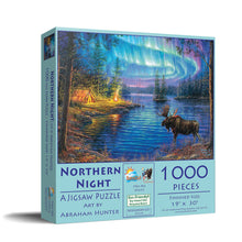 Load image into Gallery viewer, 0375 Northern Night 1000 pc Puzzle