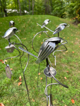 Load image into Gallery viewer, Brew Birds