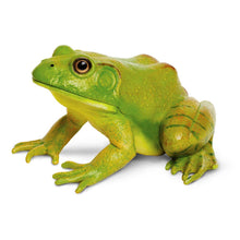 Load image into Gallery viewer, American Bullfrog Figurine Toy