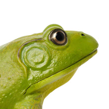 Load image into Gallery viewer, American Bullfrog Figurine Toy