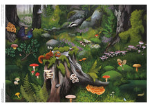 Load image into Gallery viewer, 1000 piece Jigsaw Puzzle Deep in the Forest