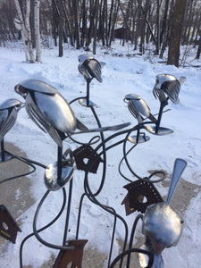 Brew Birds