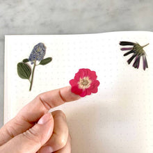 Load image into Gallery viewer, Pressed Flowers Sticker Sheet