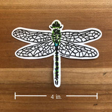 Load image into Gallery viewer, Dragonfly STICKER