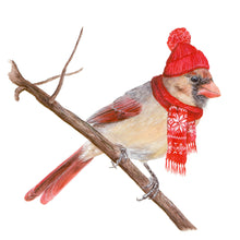 Load image into Gallery viewer, Northern Cardinal with Stocking Cap