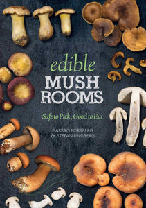 Edible Mushrooms Safe to Pick Good to Eat