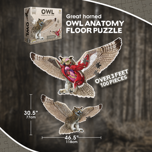 Turn N Learn: Owl Puzzle