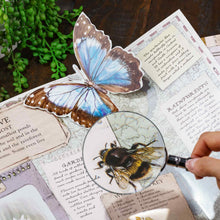 Load image into Gallery viewer, Sherlock Magnifier 75mm Scientific Tool