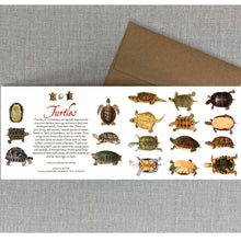 Load image into Gallery viewer, Turtles Card