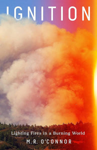 Ignition Lighting Fires in a Burning World