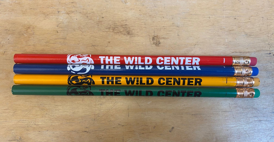 Wild Center Recycled Newspaper Pencils