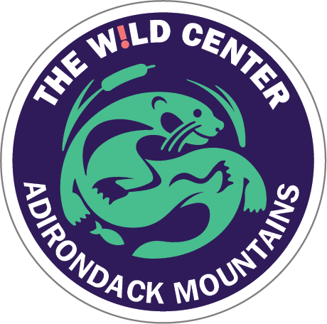 Wild Center Logo Patches