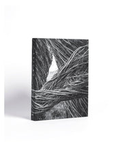 Load image into Gallery viewer, Sticks by Patrick Dougherty