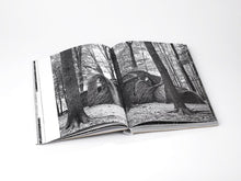 Load image into Gallery viewer, Sticks by Patrick Dougherty