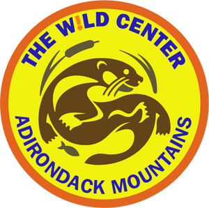 Wild Center Logo Patches