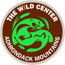 Load image into Gallery viewer, Wild Center Logo Patches