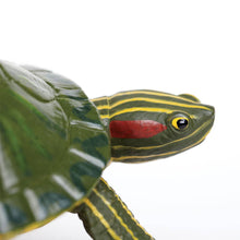 Load image into Gallery viewer, Red Eared Slider Turtle