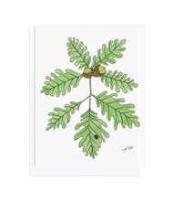 Load image into Gallery viewer, Bur Oak and Ladybug, Botanical