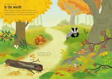 Load image into Gallery viewer, Little First Stickers Nature: Usborne