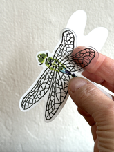 Load image into Gallery viewer, Dragonfly STICKER