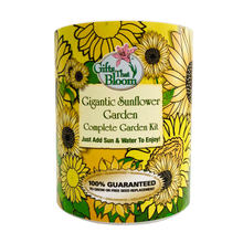 Load image into Gallery viewer, Gigantic Sunflower Garden Grocan Seed Kit
