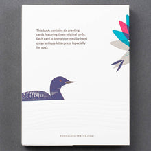 Load image into Gallery viewer, Folder Set - Modern Birds - Assorted Set of 6