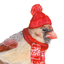Load image into Gallery viewer, Northern Cardinal with Stocking Cap