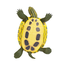 Load image into Gallery viewer, Red Eared Slider Turtle