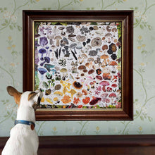 Load image into Gallery viewer, Mushroom Rainbow 1000 Piece Square Jigsaw Puzzle